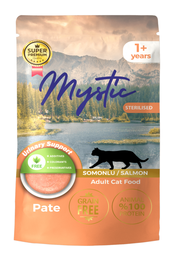 Mystic Pate Joleli Steril Kedi Pouch Somonlu 85Gr. 24'lü