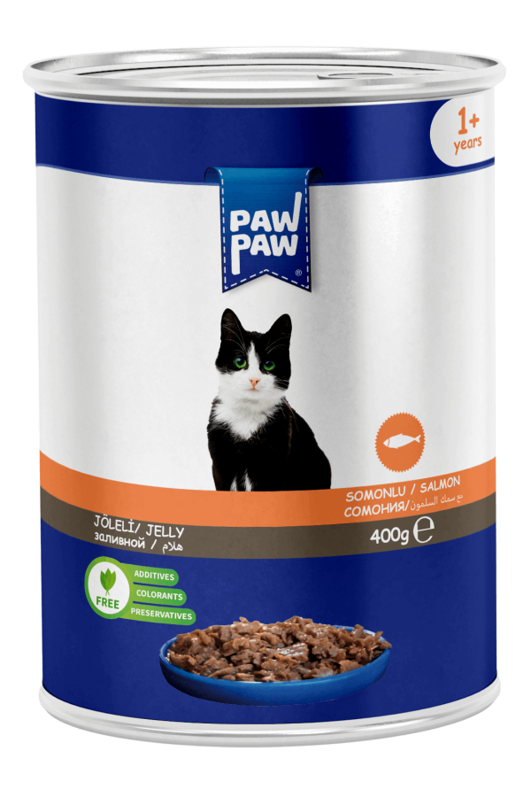 PawPaw Somonlu Etli Pate Kedi Konserve 400 G 24'lü