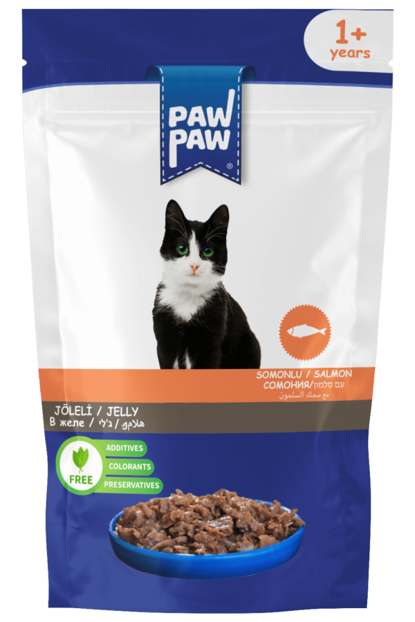 PawPaw Somon Balıklı Kedi Pouch 85 Gr 24lü PawPaw Somon Balıklı Kedi Pouch 85 Gr 24lü